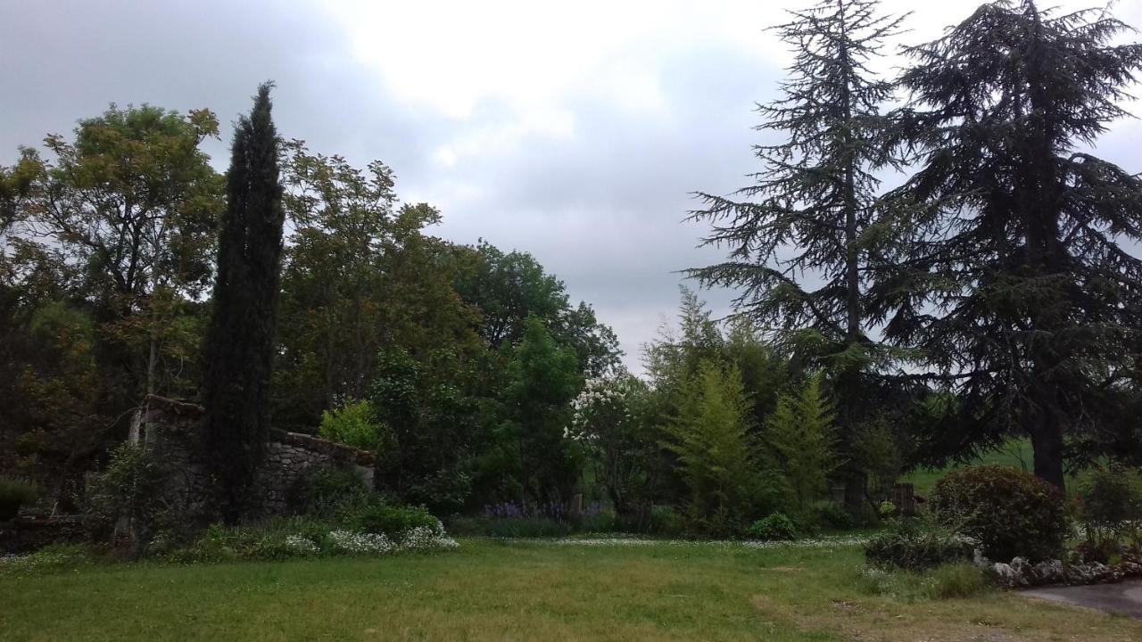 Bed and Breakfast Domaine De Seguela Fargues  Exterior foto