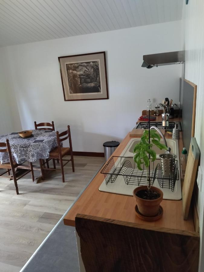 Bed and Breakfast Domaine De Seguela Fargues  Exterior foto