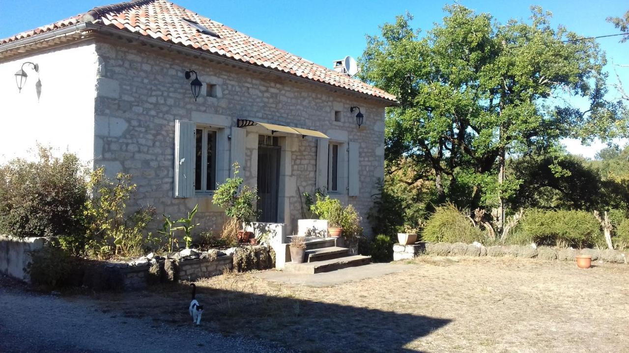 Bed and Breakfast Domaine De Seguela Fargues  Exterior foto